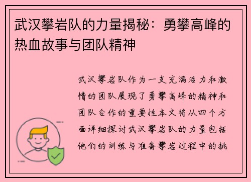 武汉攀岩队的力量揭秘：勇攀高峰的热血故事与团队精神