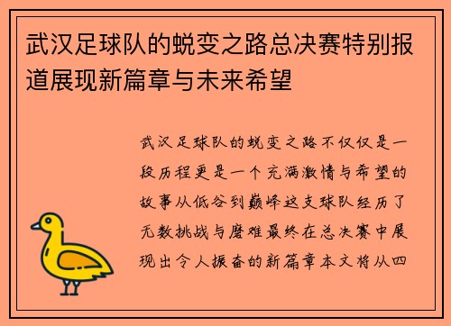 武汉足球队的蜕变之路总决赛特别报道展现新篇章与未来希望